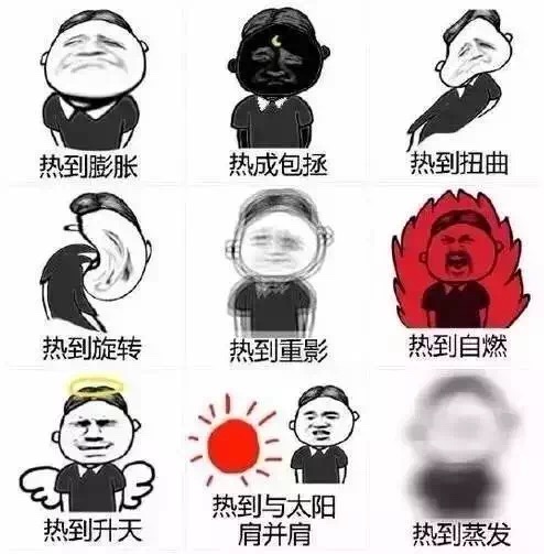 45681794 45681794